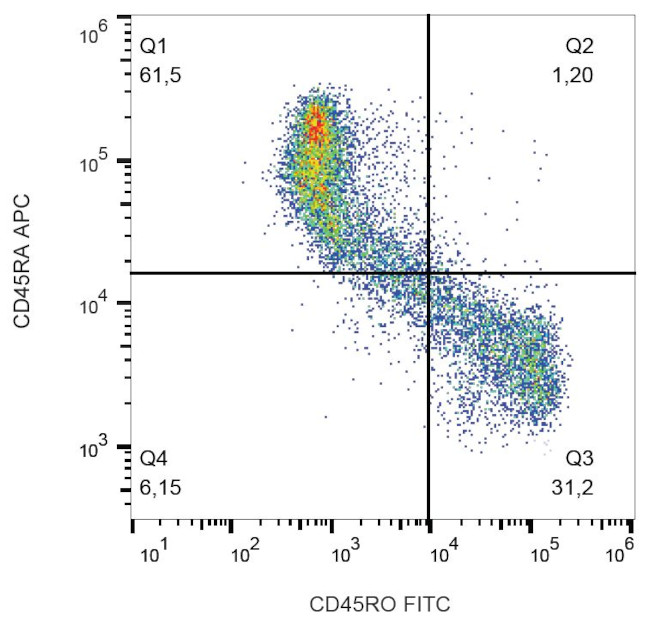 CD45RO Monoclonal Antibody (UCHL1), FITC (MA1-10235)