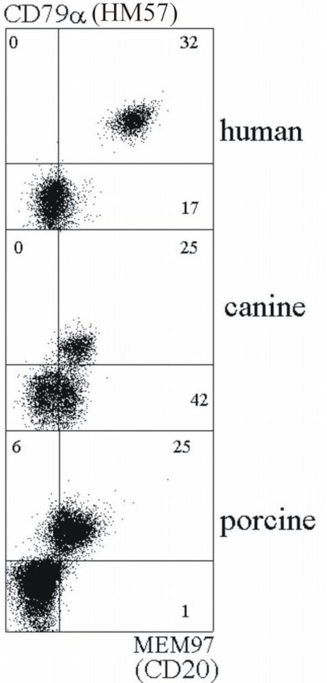 CD20 Antibody in Flow Cytometry (Flow)