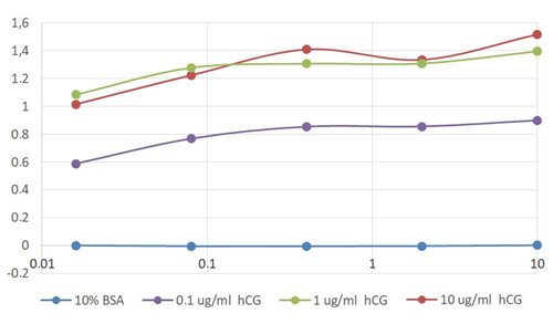hCG beta Antibody in ELISA (ELISA)