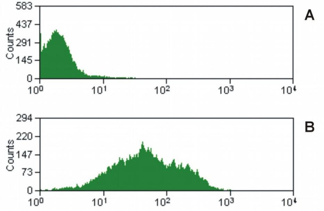 CD47 Antibody in Flow Cytometry (Flow)