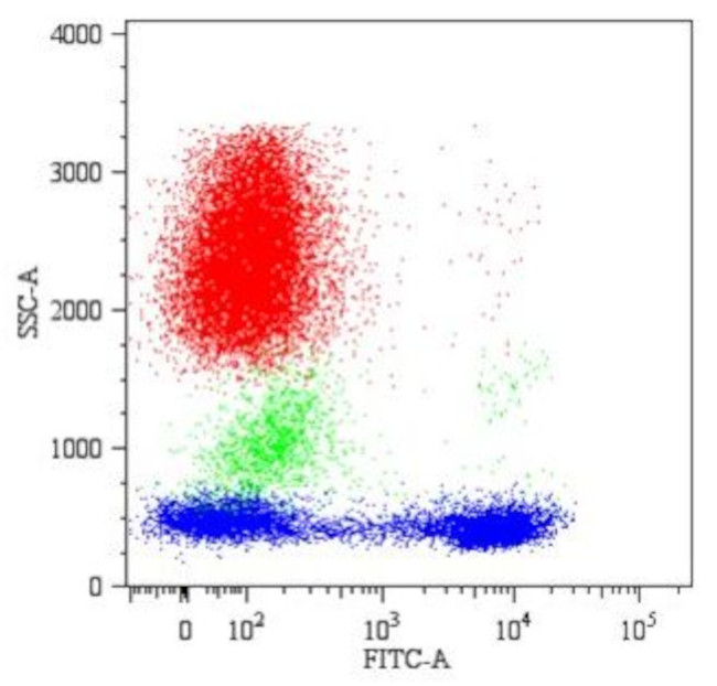 CD5 Antibody in Flow Cytometry (Flow)