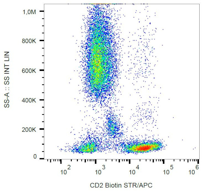 CD2 Antibody in Flow Cytometry (Flow)