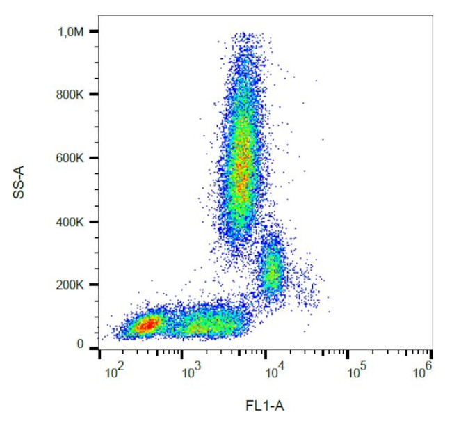 CD31 Antibody in Flow Cytometry (Flow)