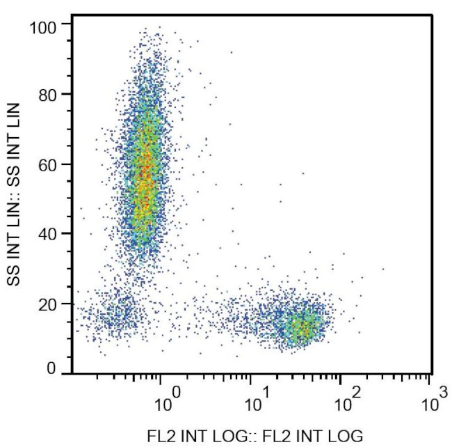 CD27 Antibody in Flow Cytometry (Flow)