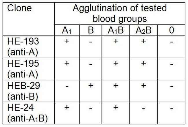 Blood Group B Antigen Antibody in Agglutination (AGG)