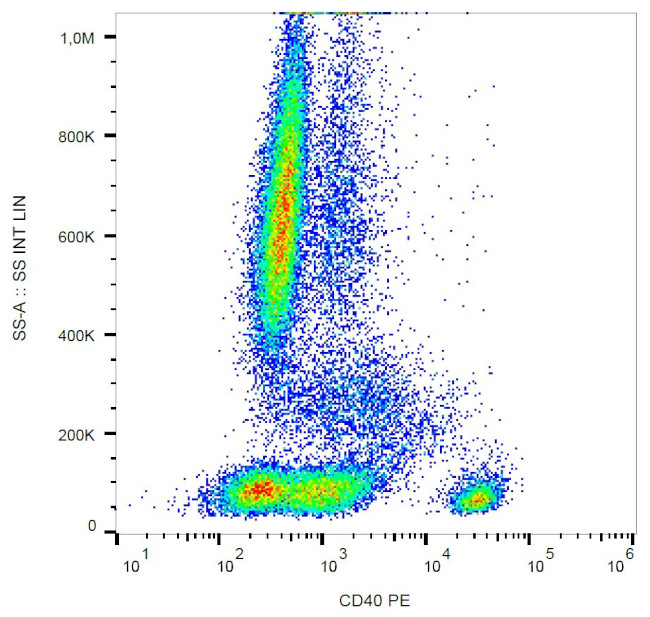 CD40 Antibody in Flow Cytometry (Flow)