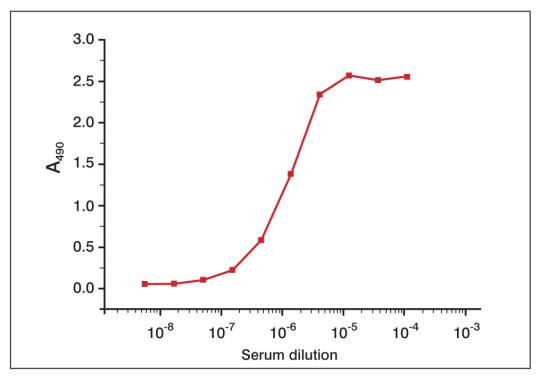 Human Serum Albumin Antibody in ELISA (ELISA)