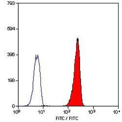 LTB4R Antibody in Flow Cytometry (Flow)
