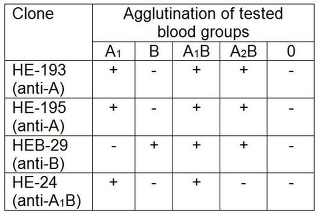 Blood Group A1B Antigen Antibody in Agglutination (AGG)