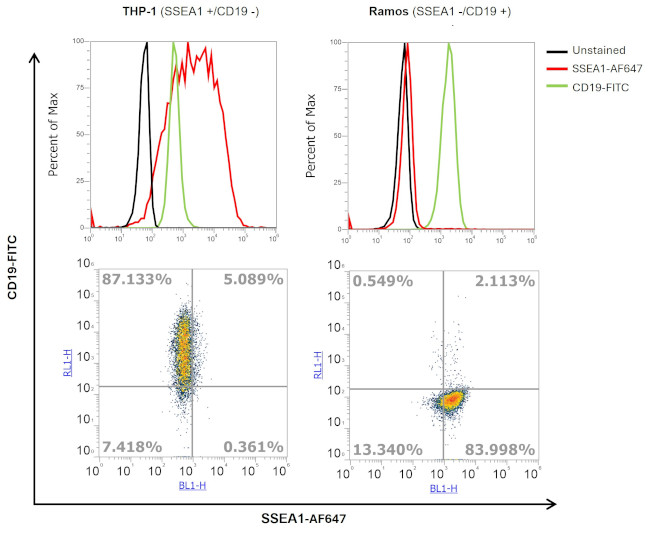CD15 Antibody in Flow Cytometry (Flow)