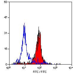 CD31 Antibody in Flow Cytometry (Flow)