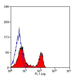 CD4 Antibody in Flow Cytometry (Flow)