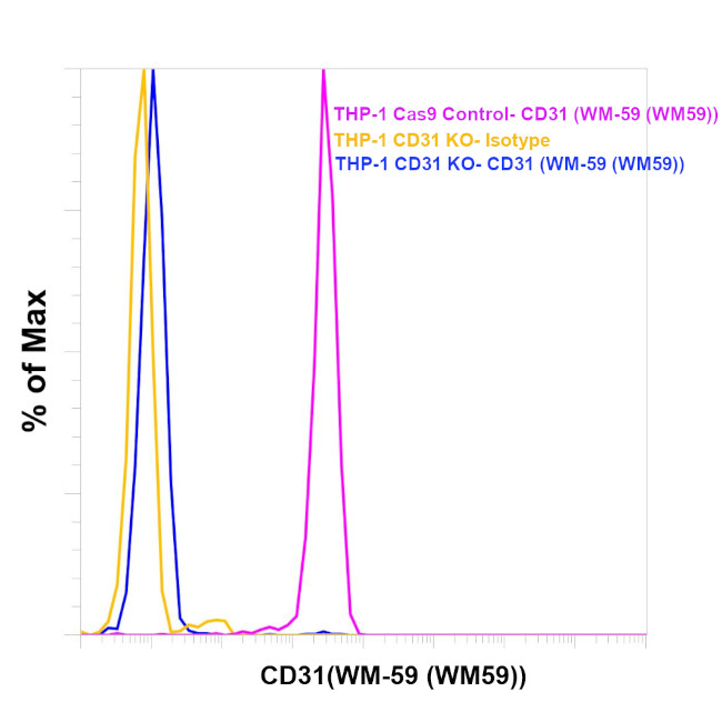 CD31 Antibody