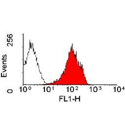MHC Class I (RT1-A) Antibody in Flow Cytometry (Flow)