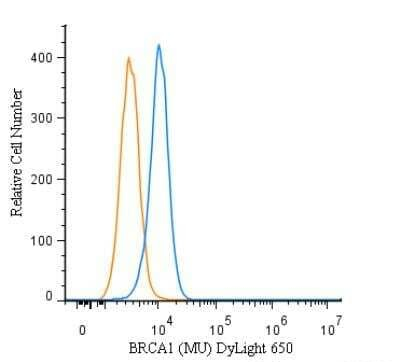 BRCA1 Antibody in Flow Cytometry (Flow)