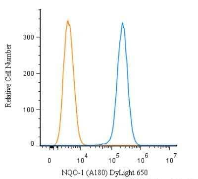 NQO1 Antibody in Flow Cytometry (Flow)