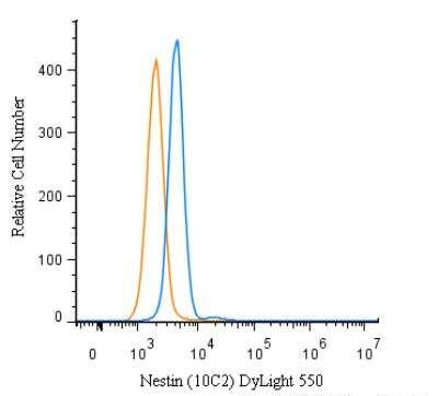 Nestin Antibody in Flow Cytometry (Flow)