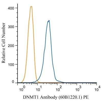 DNMT1 Antibody in Flow Cytometry (Flow)