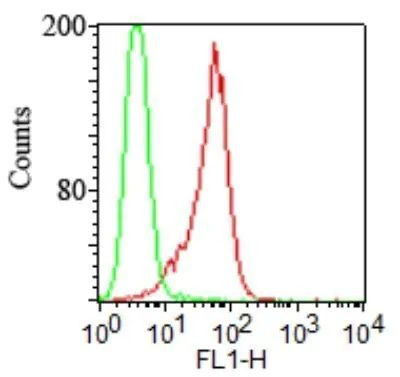 TLR2 Antibody in Flow Cytometry (Flow)