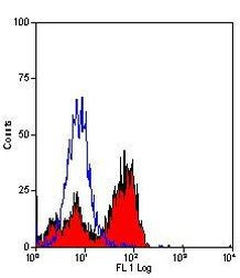 CD244 Antibody in Flow Cytometry (Flow)