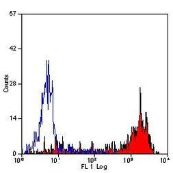 Ly-6B.2 Antibody in Flow Cytometry (Flow)