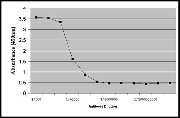 Canine IgG/IgA/IgM Secondary Antibody in ELISA (ELISA)