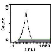 CD5 Antibody in Flow Cytometry (Flow)