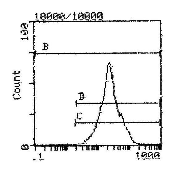 CD5 Antibody in Flow Cytometry (Flow)