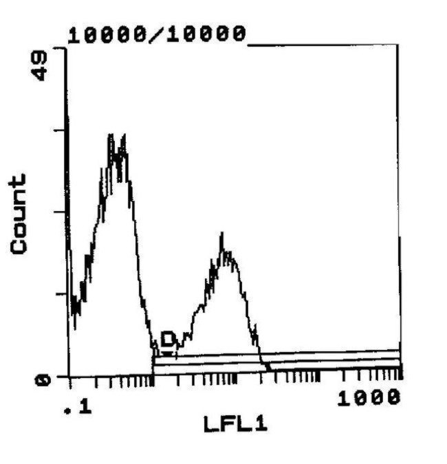 RT1.Bu Antibody in Flow Cytometry (Flow)