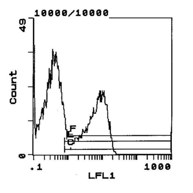 RT1.B Antibody in Flow Cytometry (Flow)