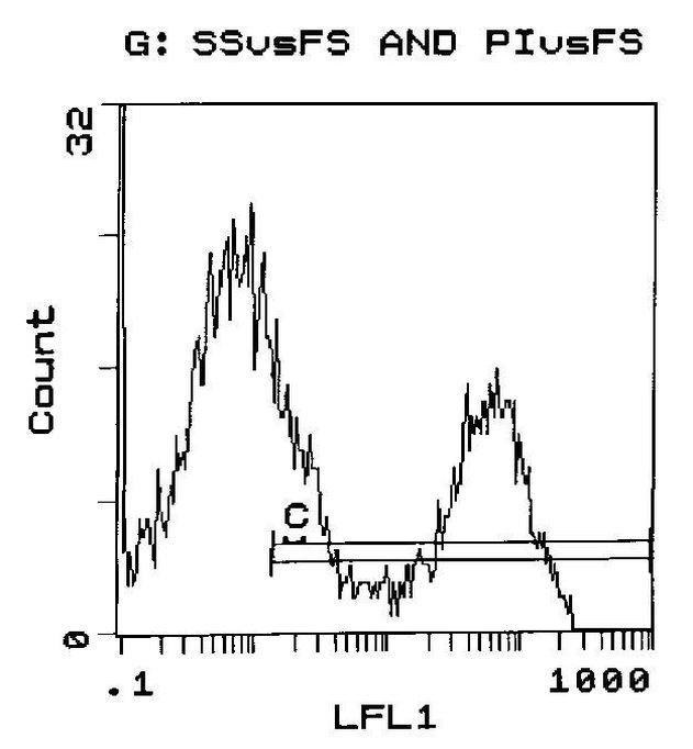 RT1.B Antibody in Flow Cytometry (Flow)