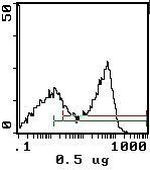 RT1.B Antibody in Flow Cytometry (Flow)