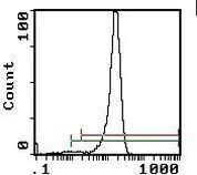 CD4 Antibody in Flow Cytometry (Flow)