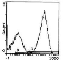 I-Ap Antibody in Flow Cytometry (Flow)