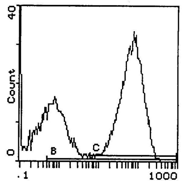 I-Ap Antibody in Flow Cytometry (Flow)