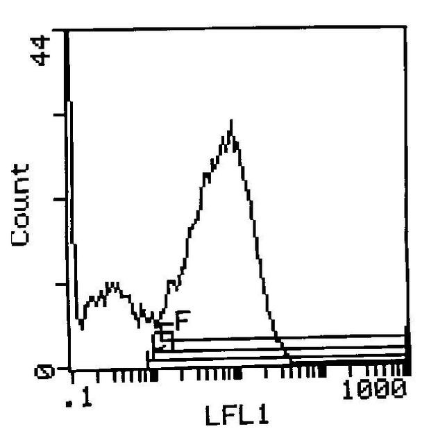 I-Ak Antibody in Flow Cytometry (Flow)