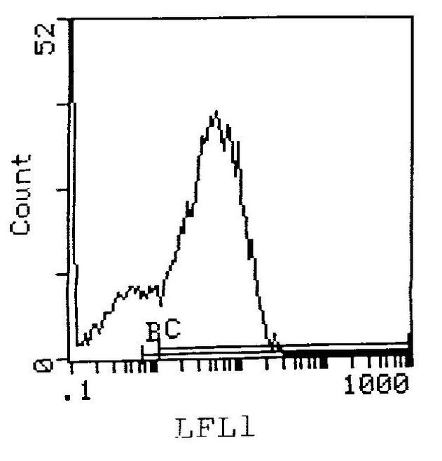 I-Ak Antibody in Flow Cytometry (Flow)