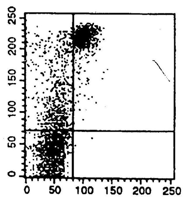 CD19 Antibody in Flow Cytometry (Flow)