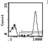 Platelet Antibody in Flow Cytometry (Flow)