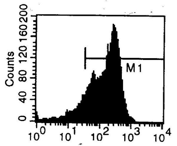 Transferrin Receptor Antibody in Flow Cytometry (Flow)
