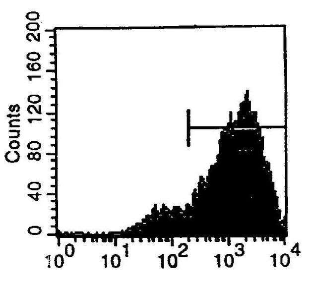 Transferrin Receptor Antibody in Flow Cytometry (Flow)
