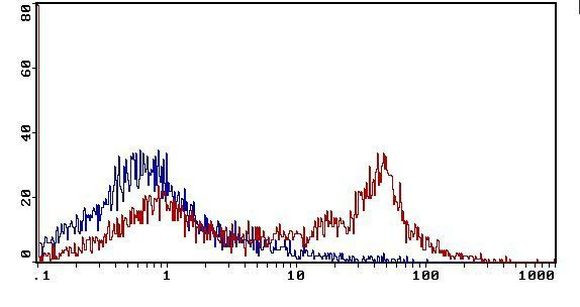 CD226 Antibody in Flow Cytometry (Flow)