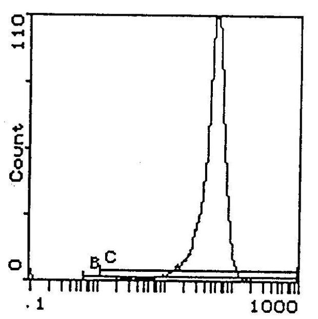 H-2Kb/H-2Db Antibody in Flow Cytometry (Flow)