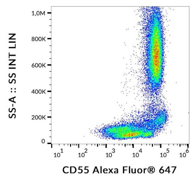 CD55 Antibody in Flow Cytometry (Flow)
