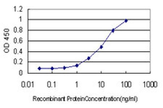 ALDH3B2 Antibody in ELISA (ELISA)