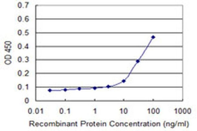 Cyclin G1 Antibody in ELISA (ELISA)