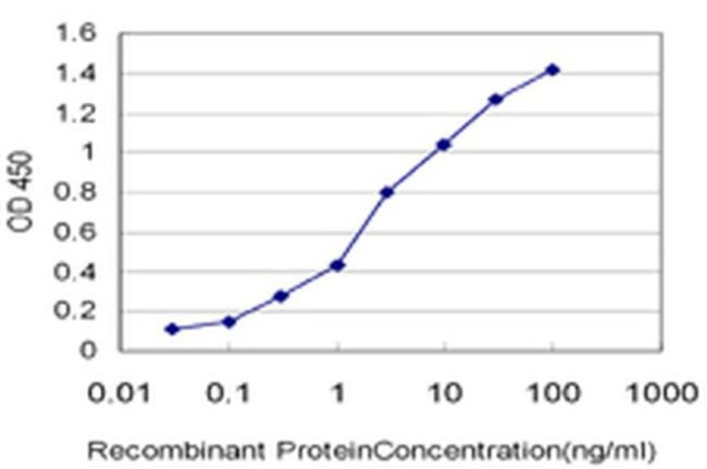 CRYBB1 Antibody in ELISA (ELISA)
