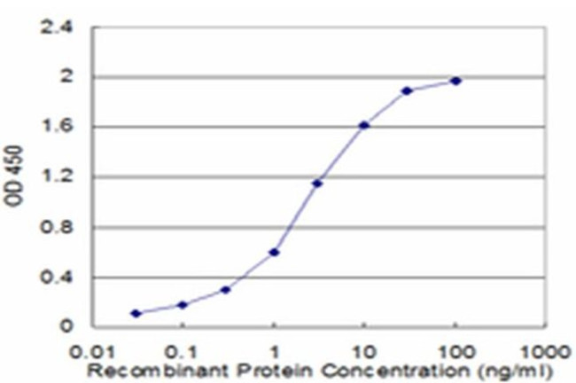 CRYGD Antibody in ELISA (ELISA)
