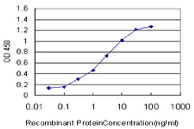 ING1 Antibody in ELISA (ELISA)
