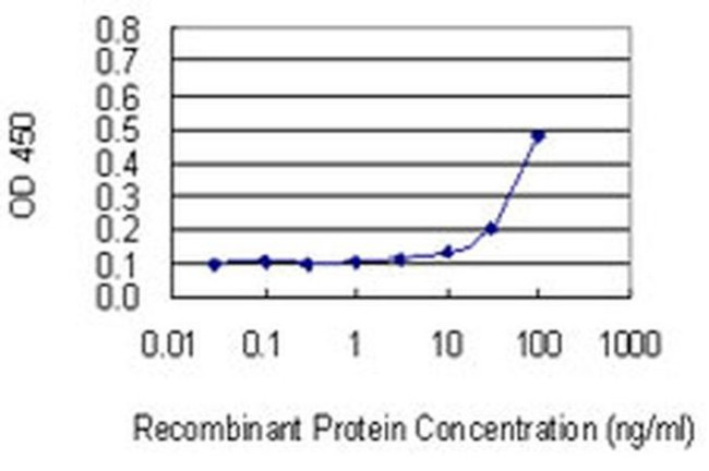 RPL17 Antibody in ELISA (ELISA)